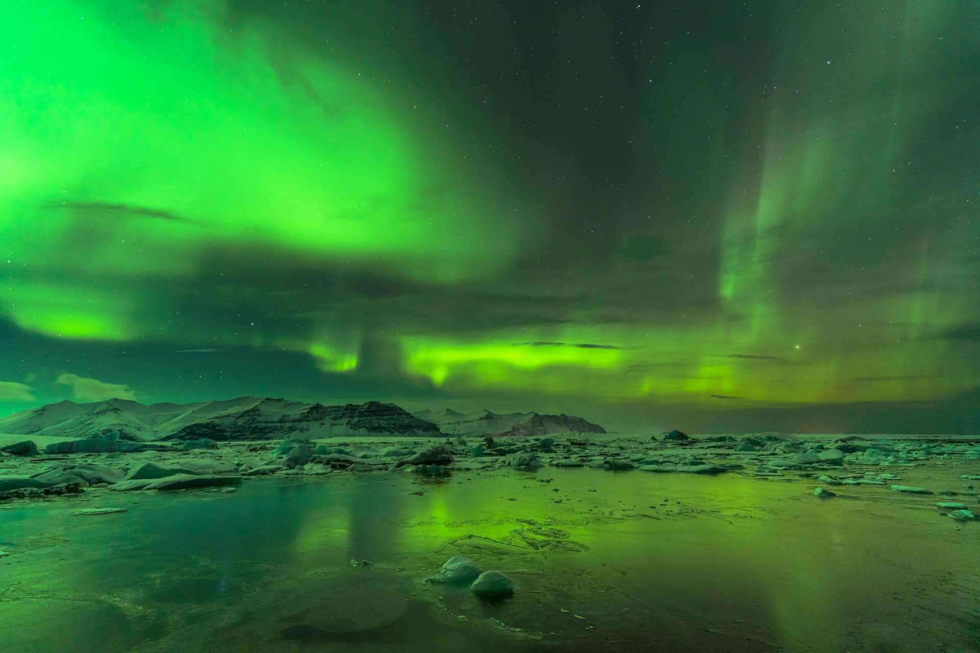 Northern Lights: Champagne, Art & Warm Treats 7