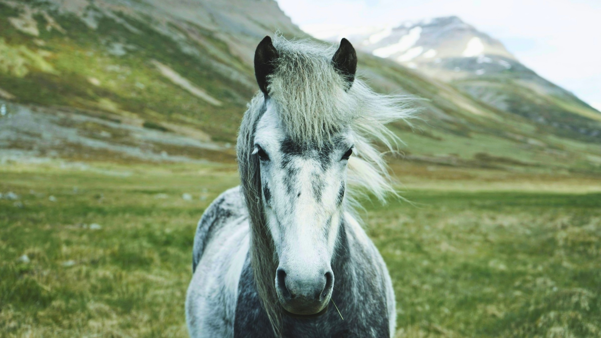 Classic Iceland 17